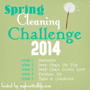 Spring Cleaning Weekly Agenda