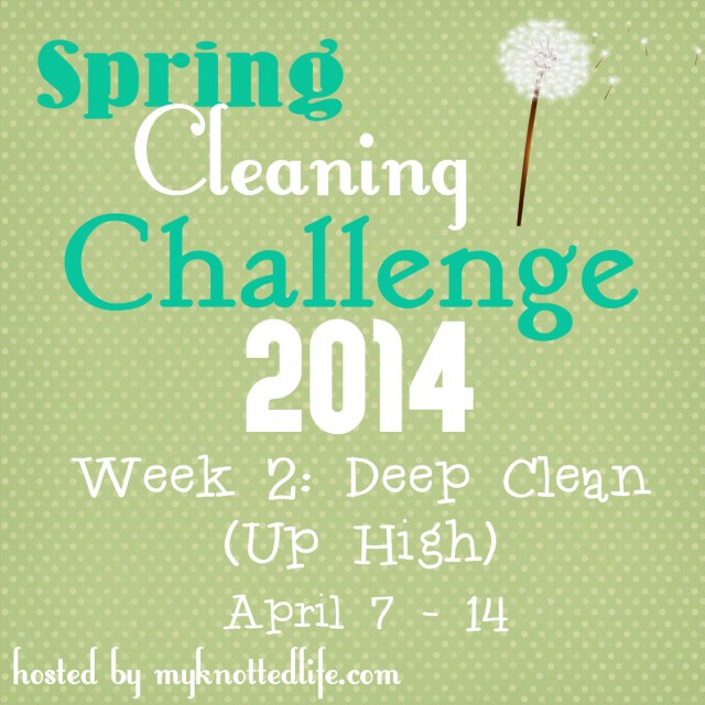 Spring Cleaning Challenge week 2 new
